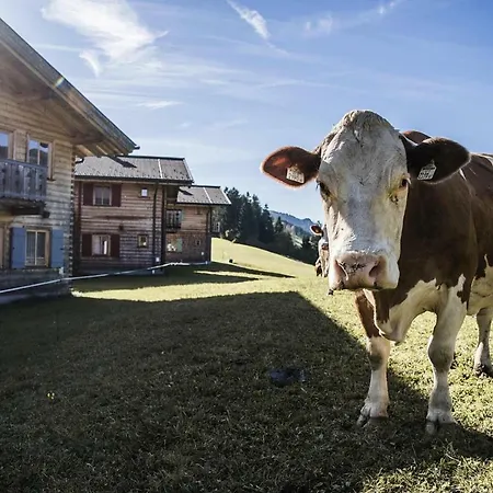 Prázdninový dům Holiday Farm Oberreit Bruck Osb03115 Fyc Fusch an der Glocknerstraße